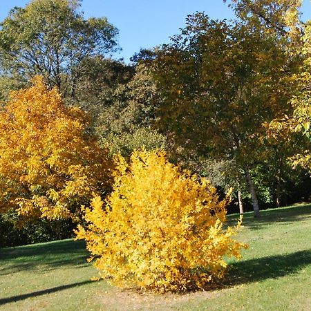 Domaine La Bastide Bed & Breakfast Cleyrac Luaran gambar