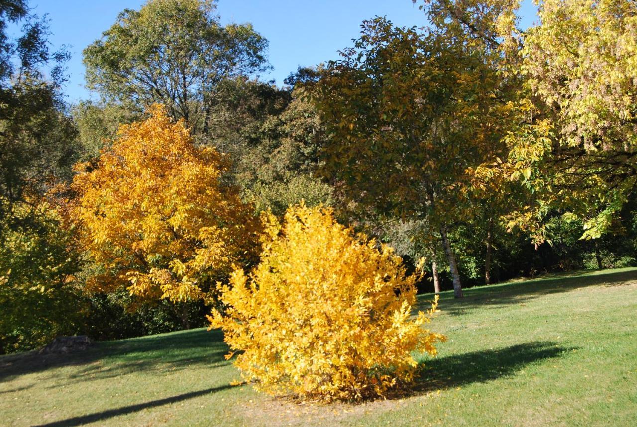 Domaine La Bastide Bed & Breakfast Cleyrac Luaran gambar